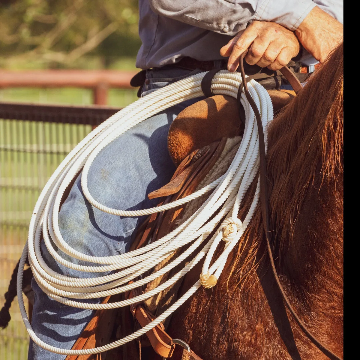 Rider carrying a coiled Ranch Rope 4 Strand on the saddle