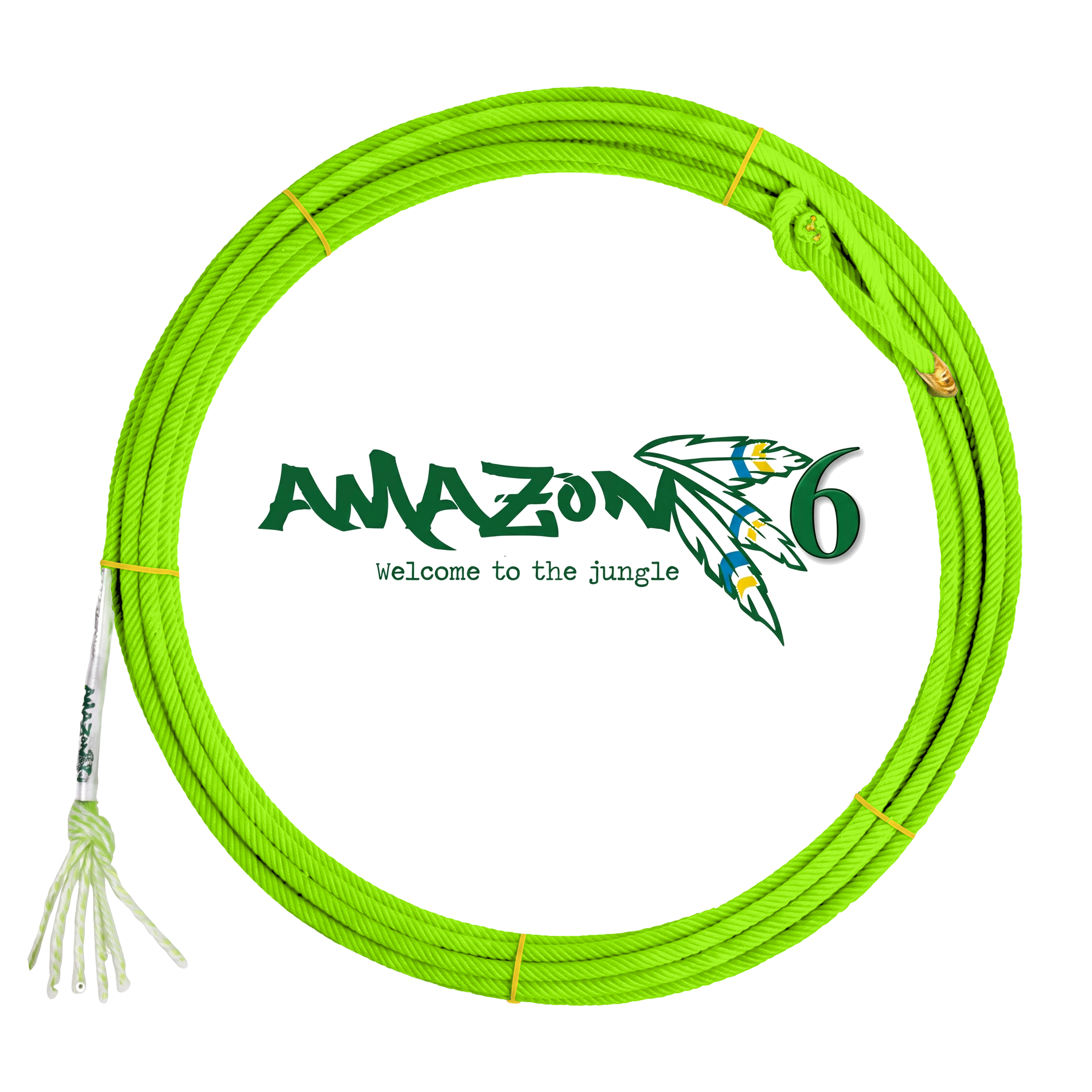 Amazon 6