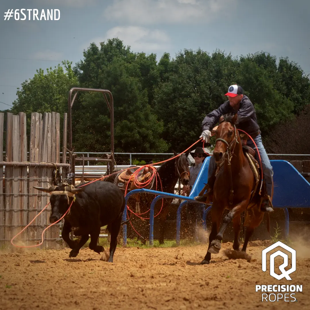 Dupla de team roping em ação na arena