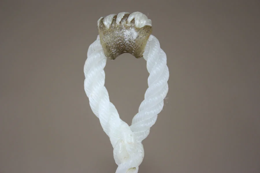 Close view of the loop on a white calf string