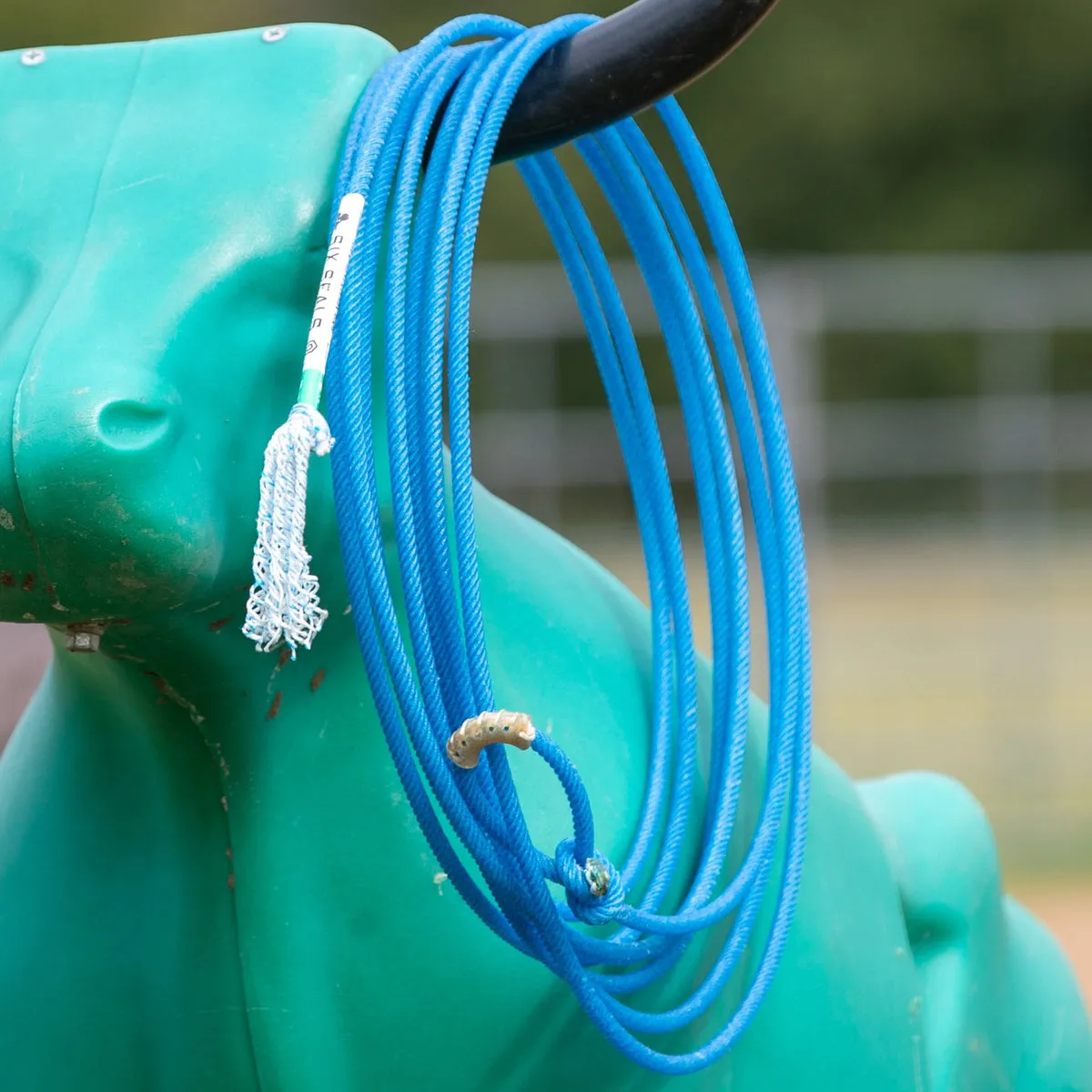 Blue Six Seals 6 rope coiled over a roping dummy horn