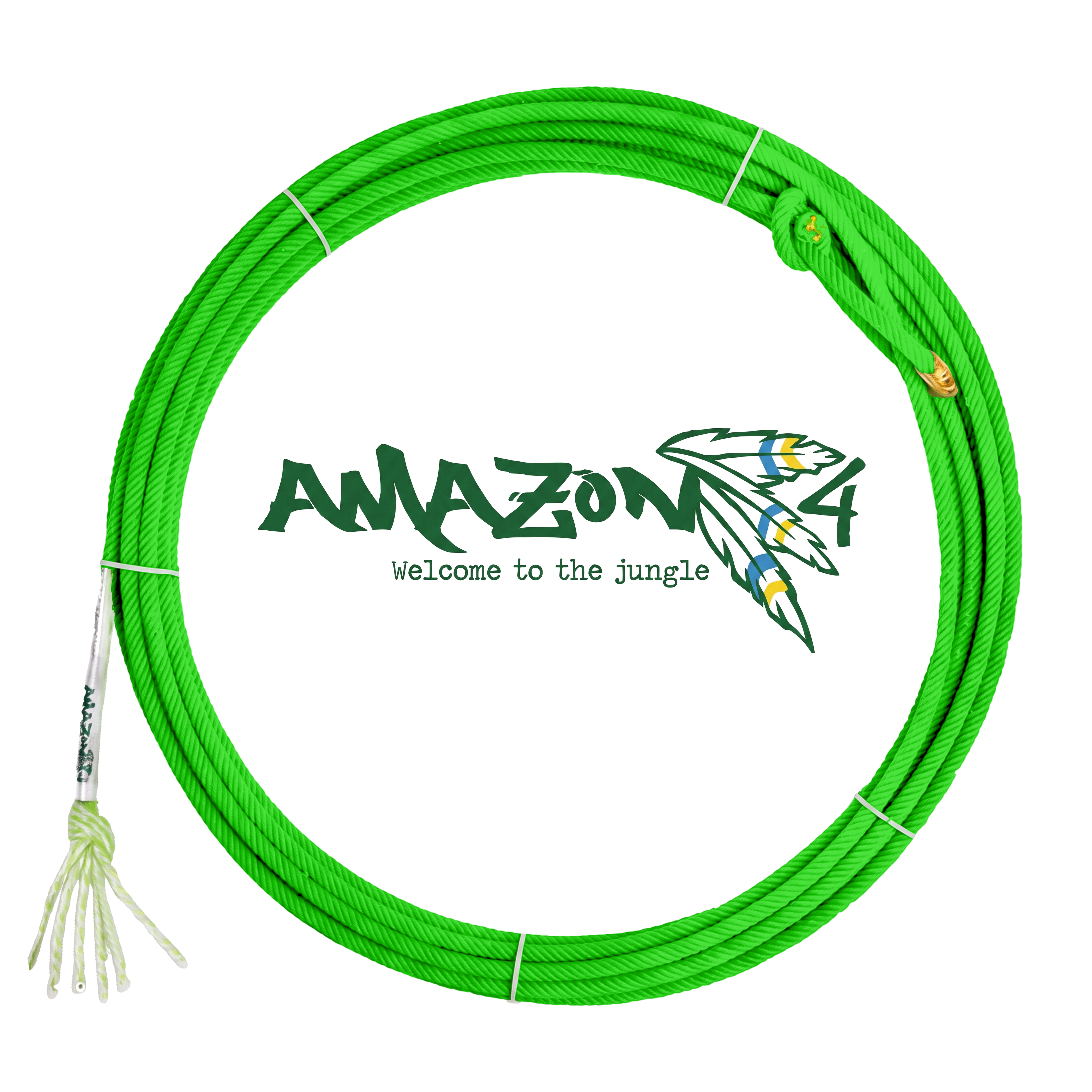 Amazon 4
