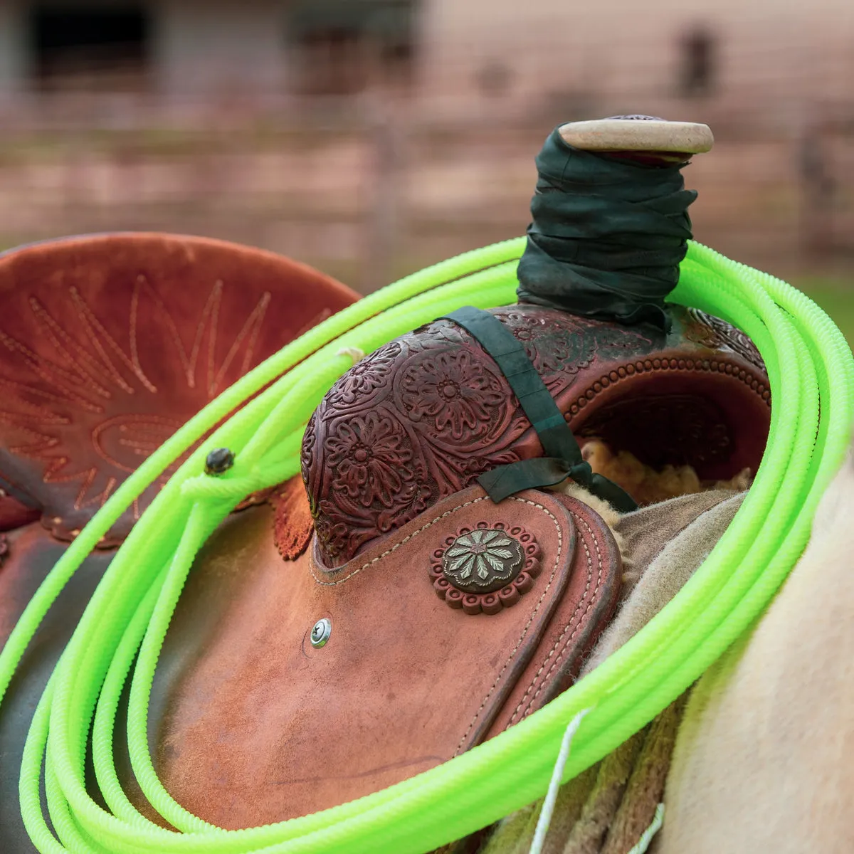 Coiled neon green Amazon 6 rope on a tooled leather saddle