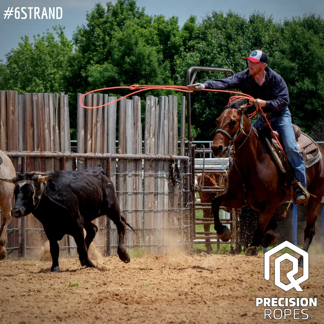 Laçadores a cavalo trabalham com o laço no campo, com a marca Precision Ropes na imagem