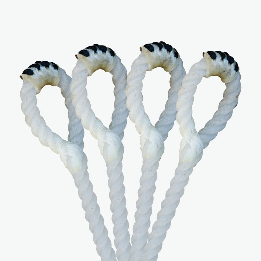 Calf Strings